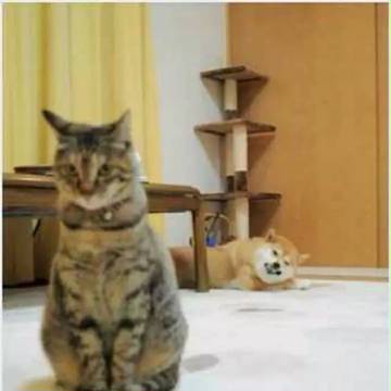 我
