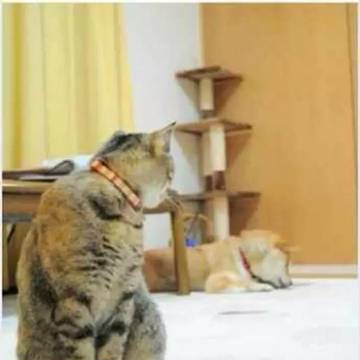 她