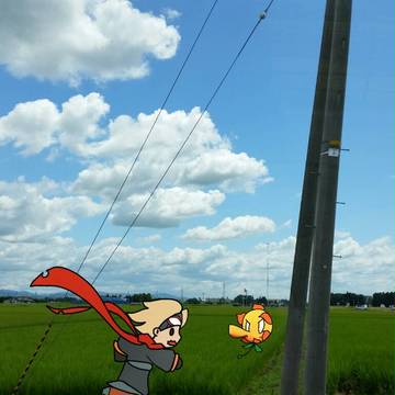 テスト