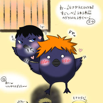 ヒナガラス一年s