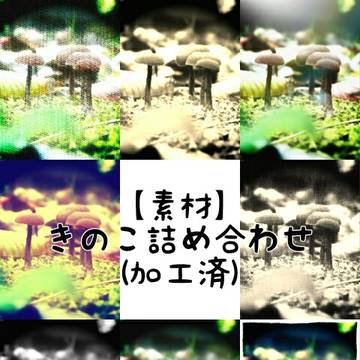 【素材】きのこ詰め合わせ(加工済)
