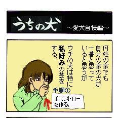 うちの犬①