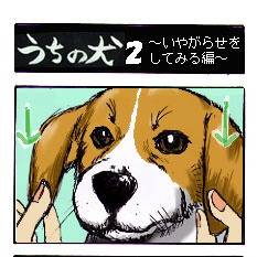 うちの犬②