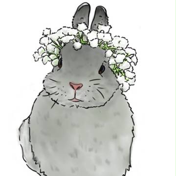 花冠兔