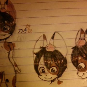 Kaki (Kari* )