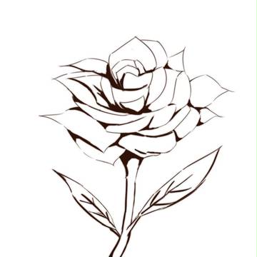 【03】玫瑰花