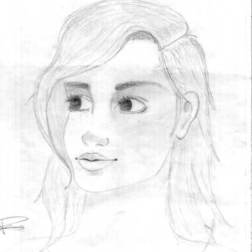 sketch