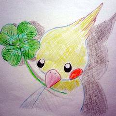 白オカメと四つ葉のクローバー