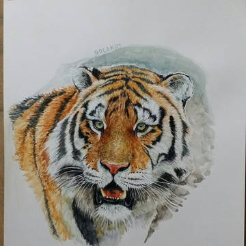 Watercolor