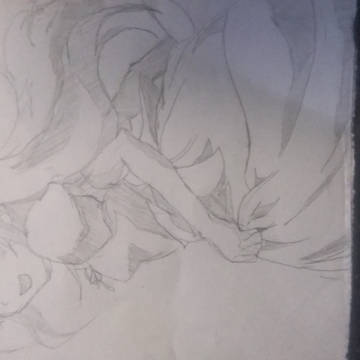 雛菊