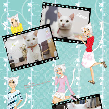 もっと☆しろねこ