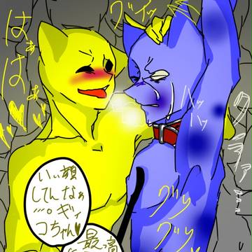 モラギコわっしょい