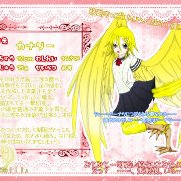【STAA】カナリー【名簿】