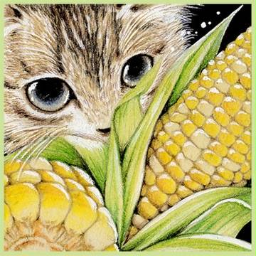 とうもろこし