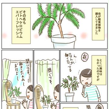 エバーフレッシュ！