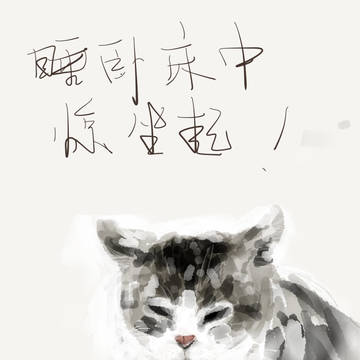 ねこ