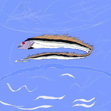 海の王者タチウオくん