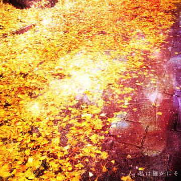 最近の写真/加工