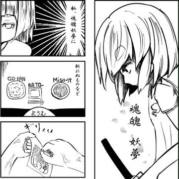 紅楼夢の４コマ