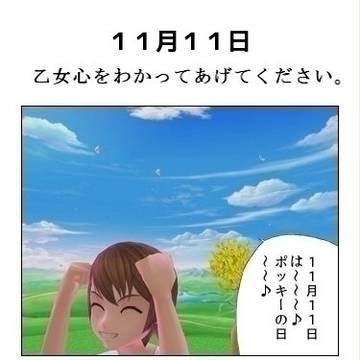 11月11日