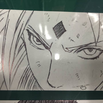 サクラ