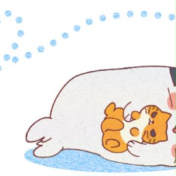 あざらし