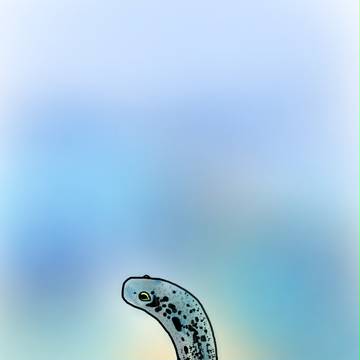 チンアナゴ