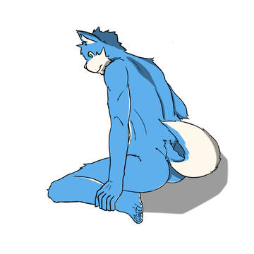 練習