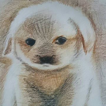 彩铅随笔