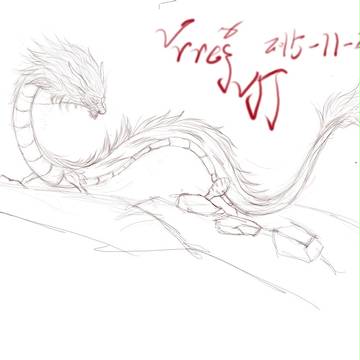 龙