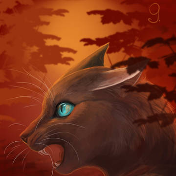 9