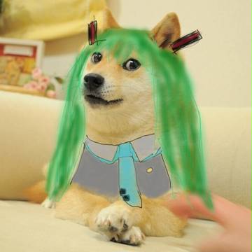 DOGE