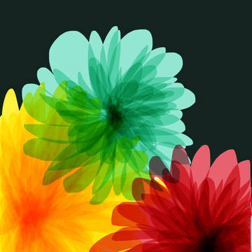 綺麗に見えるのは花だけw