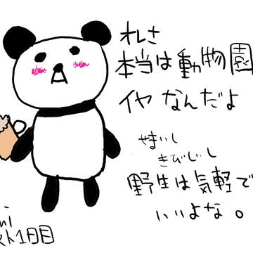 仕事に疲れたパンダさん