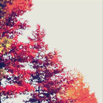 紅葉の並木
