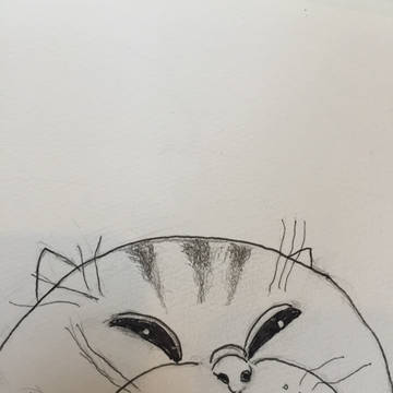ねこ