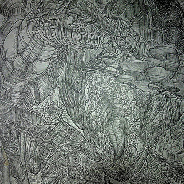 SOLKNIGHT 対甲龍