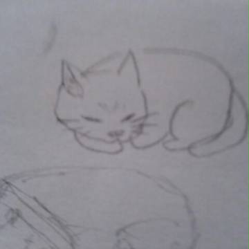 ねこ