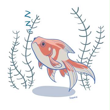 眠るサラダちゃん