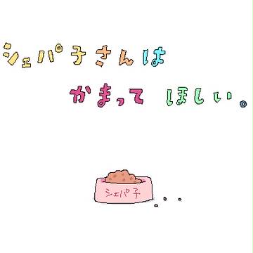 シェパ子さんはかまってほしい