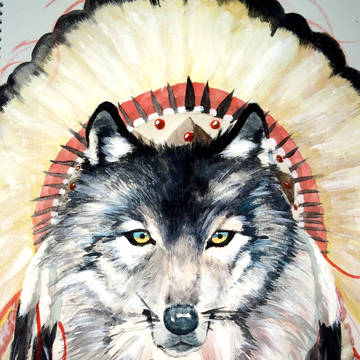 Indian wolf．