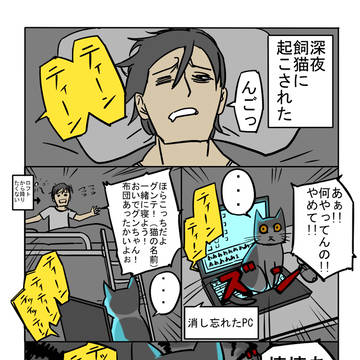 飼猫の話