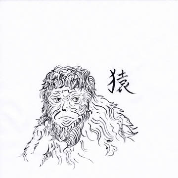 猿