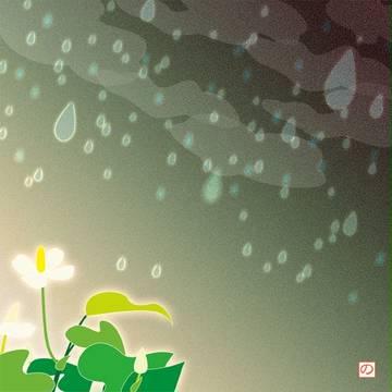 慈雨