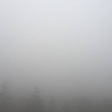 牛奶蒸汽