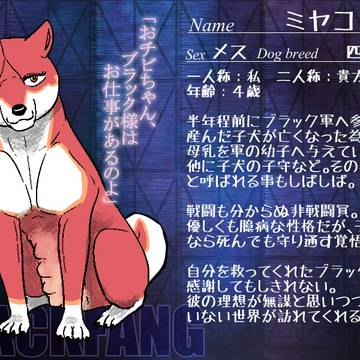 【ぴく銀伝】ミヤコ【イベント09ブラック軍】