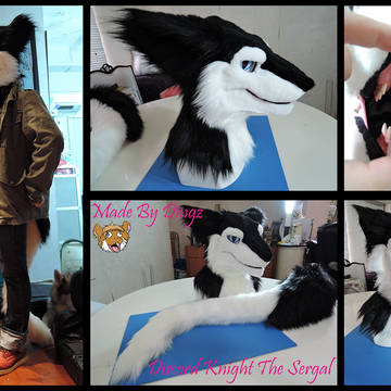 Discord Knight the Sergal