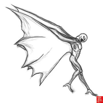 New Wings