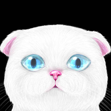 にゃんこ