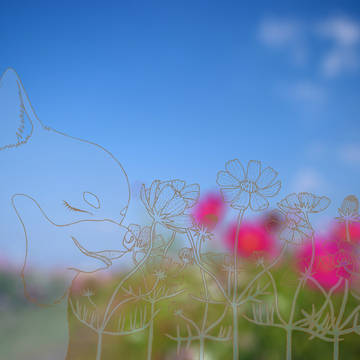 うたうチワワ。